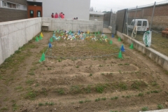 P2012214