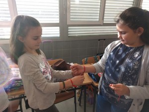 IMG 20170220 102147